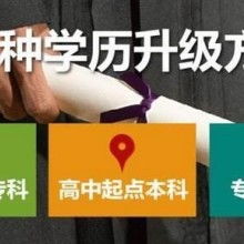 成都市金牌思維教育咨詢有限責任公司 專業(yè)教育咨詢，點亮成長之路